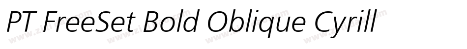 PT FreeSet Bold Oblique Cyrillic字体转换